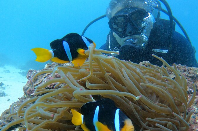 Scuba Diving in muscat - Key Things I’d Plan For