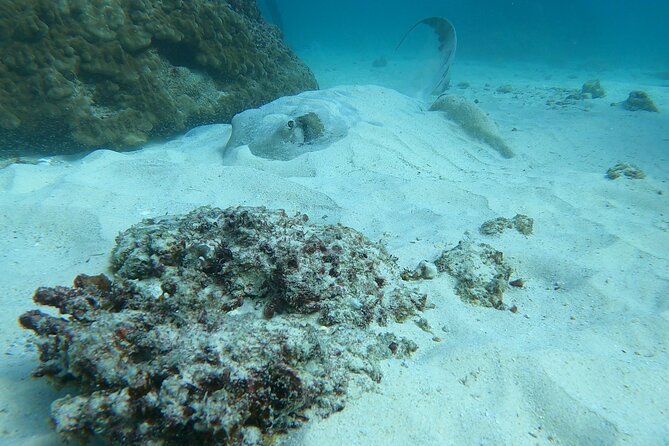 Scuba Diving in muscat - Starting at Al Seeb Port, What the 8:00 am Rhythm Really Means