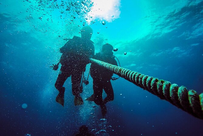 Scuba Diving to Dimaniyat Islands Muscat Oman - The 5-hour flow from Seeb at 8:30 am (and what to expect)