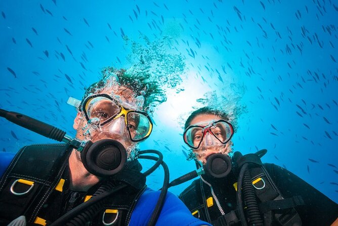 Scuba Diving to Dimaniyat Islands Muscat Oman - Who should book, and who should think twice