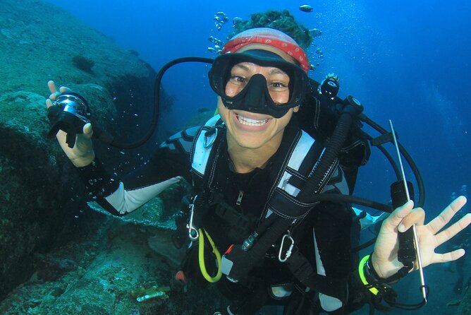 Scuba Diving to Dimaniyat Islands Muscat Oman - Wildlife you can plan for: turtles, rays, eels, sharks, and seasonal whale sharks
