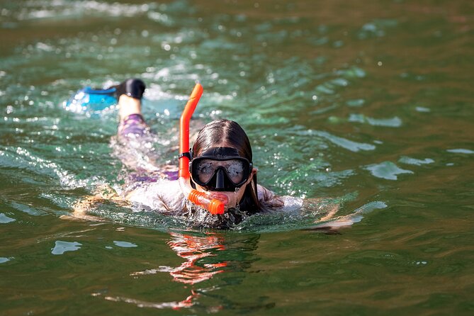 Sea Wonders Dolphin Watching and Snorkeling in Muscat - Key highlights you should know