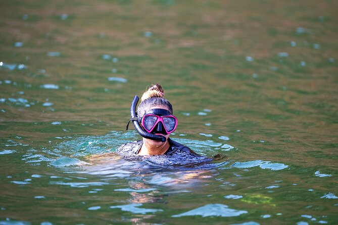 Sea Wonders Dolphin Watching and Snorkeling in Muscat - Dolphin Watching and Snorkeling in Muscat: A 3-Hour Water Day