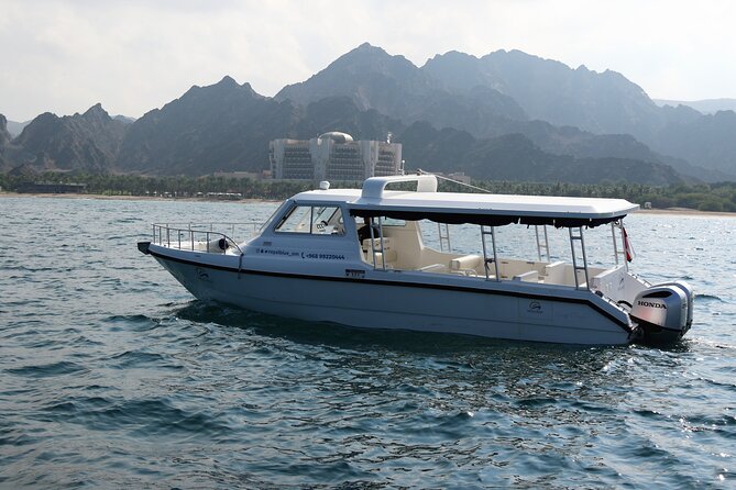 Sea Wonders Dolphin Watching and Snorkeling in Muscat - Dolphin Watching Results: When You Get the Good Day