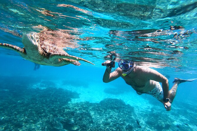 Snorkeling Adventure to Daymaniat Islands - Why Daymaniat Islands are such a strong snorkel choice off Muscat