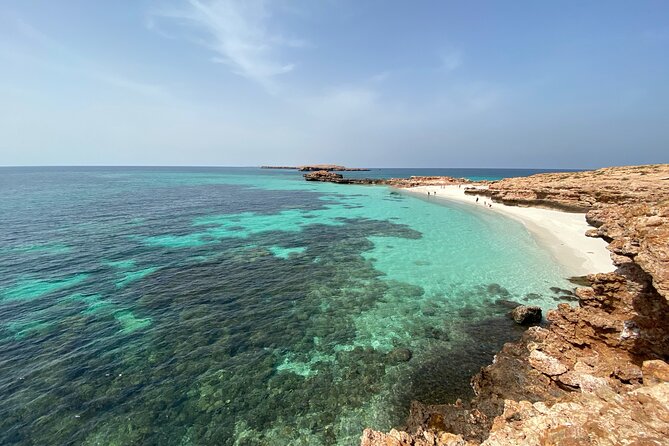 Snorkeling at Dimaniyat Islands and Dolphin Watching - Cruising for dolphins and turtles: how the guide actually helps
