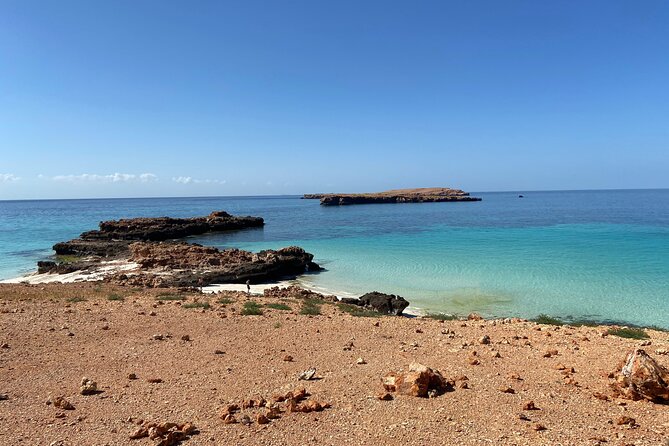 Snorkeling at Dimaniyat Islands and Dolphin Watching - Ad Dimaniyat Islands: snorkeling in a protected marine reserve