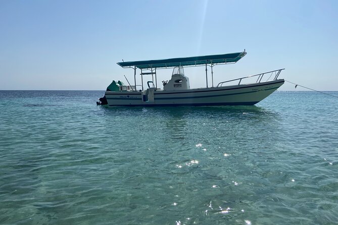 Snorkeling at Dimaniyat Islands and Dolphin Watching - Al Alam Palace from the water: a quick cultural bonus