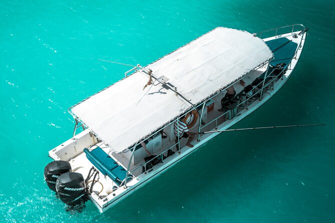 Snorkeling Experience at Ad Daymaniyat Islands in Muscat - Key highlights