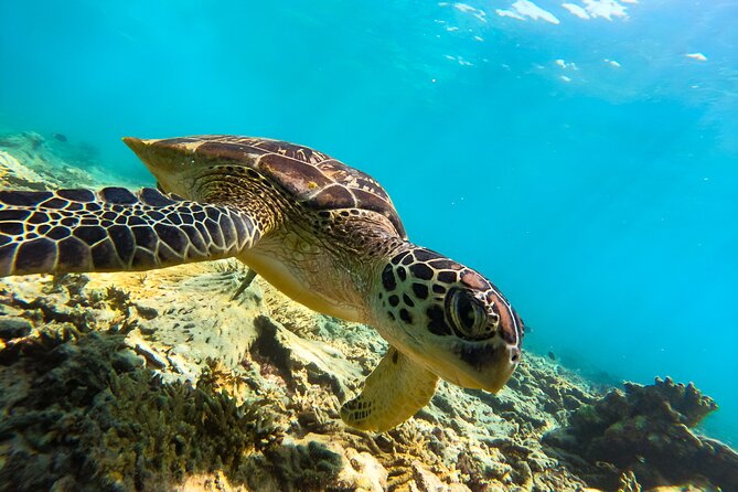 Snorkeling Experience at Ad Daymaniyat Islands in Muscat - A Half-Day Boat Trip From Seeb To The Daymaniyat Islands