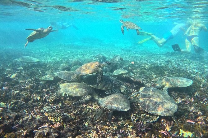 Snorkeling Experience at Ad Daymaniyat Islands in Muscat - Weather, Timing, And Practical Expectations In Muscat