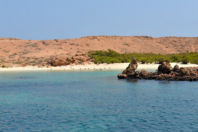 Snorkeling trips to Daymaniat Islands Sharing Trip - Key Things You Will Notice on This Daymaniyat Snorkeling Trip