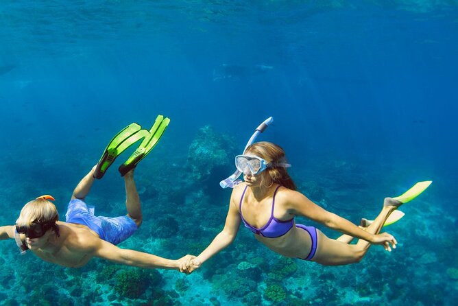Snorkeling trips to Daymaniat Islands Sharing Trip - Daymaniyat Islands: A Protected Turtle-and-Bird World Off Muscat