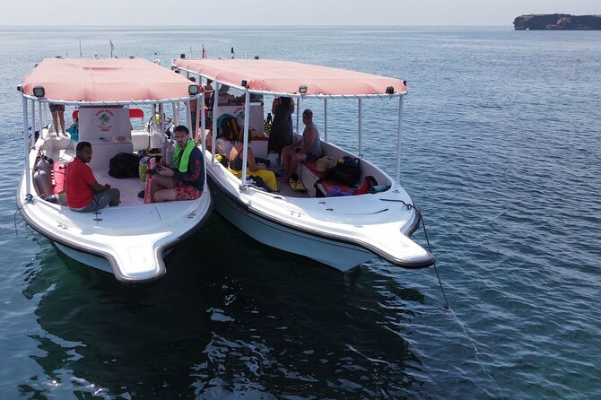 Snorkeling trips to Daymaniat Islands Sharing Trip - Snorkeling Stops Around the Reefs: How the Trip Feels for First-Timers