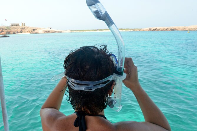 Snorkeling trips to Daymaniat Islands Sharing Trip - Whale Sharks in Summer: The Seasonal “Maybe” That Can Feel Like a Sure Thing