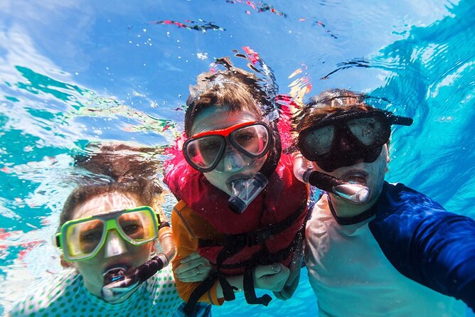 Snorkeling trips to Daymaniat Islands Sharing Trip - Food, Drinks, and On-Board Comfort That Keep the Trip Enjoyable