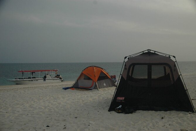 Snorkeling trips to Daymaniat Islands Sharing Trip - Price and Value: Is $75.05 Worth a Half Day in the Sea Reserve?