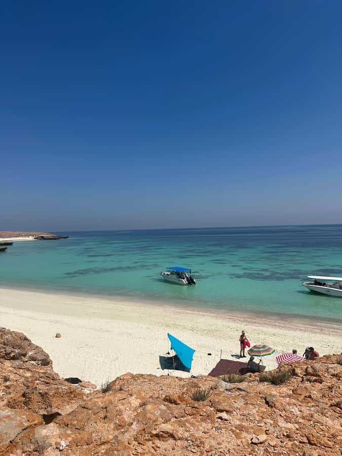 Snorkeling with turtles at Ad Daymaniyat Islands - Snorkel time at Ad Dimaniyat: turtles, reef life, and calm scanning