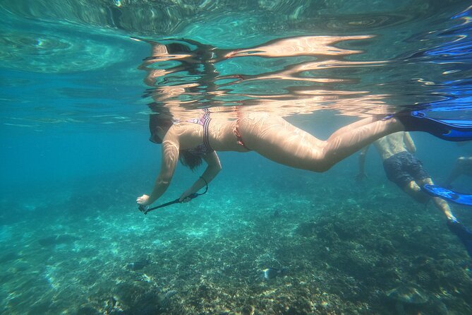 Snorkelling tours to Daymaniyat island - Key highlights worth your attention