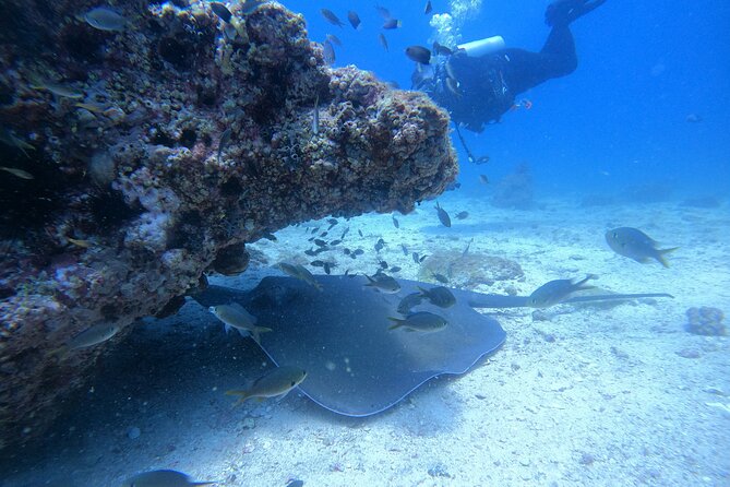 Snorkelling tours to Daymaniyat island - Meeting at Seeb Marina without getting lost