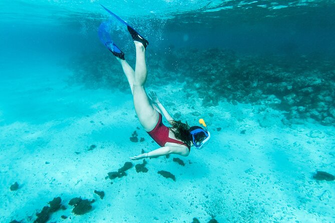 Snorkelling tours to Daymaniyat island - Two swim stops on Daymaniyat, and why the order can matter