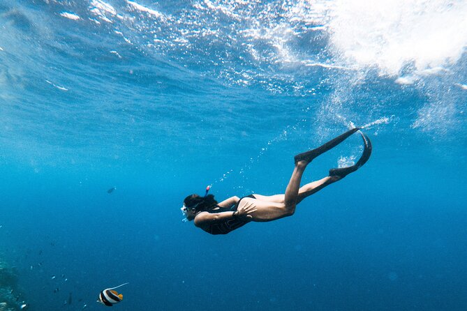 Snorkelling tours to Daymaniyat island - Boat comfort and the family option that actually helps