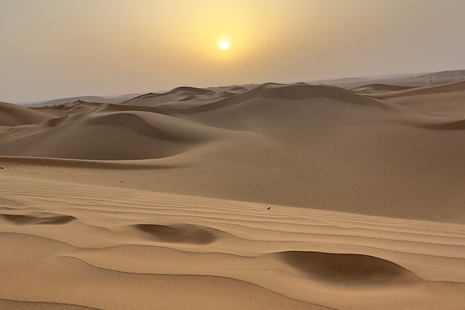 Sunset desert safari Salalah with Dinner in a Bedouins camp - Why this Salalah safari feels like a full Dhofar experience