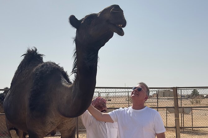 Sunset desert safari Salalah with Dinner in a Bedouins camp - Wubar, the Atlantis of the Sands: ruins tied to the frankincense trade