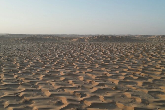 Sunset desert safari Salalah with Dinner in a Bedouins camp - Heading into the Empty Quarter: dunes, light, and desert reality