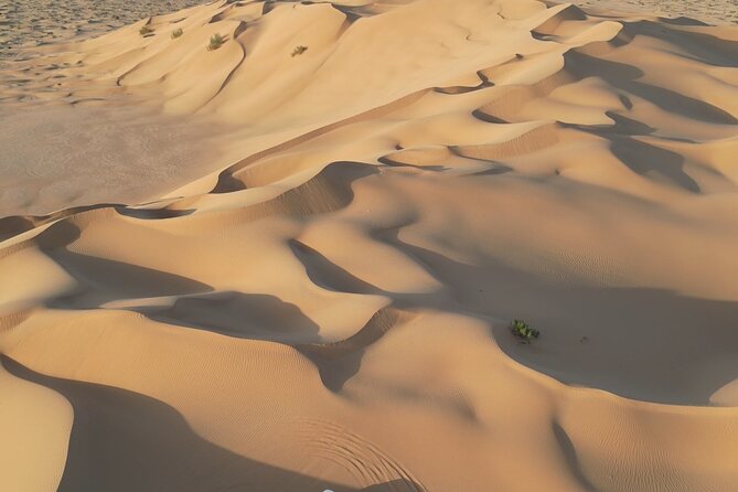 Sunset desert safari Salalah with Dinner in a Bedouins camp - Bedouin camp dinner after sunset: what makes it worth the day