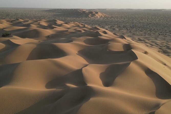 Sunset desert safari Salalah with Dinner in a Bedouins camp - Guide experience: why Mohammed’s explanations matter