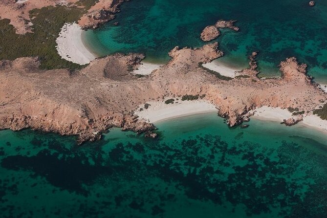 The Jewel of Muscat Sea, Daymaniyat Islands - Al Jabal Al Kabeer stop: beaches, wildlife luck, and why this island is picked