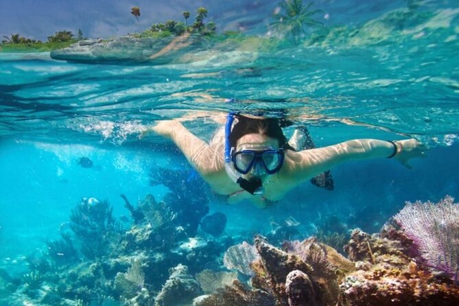 The Jewel of Muscat Sea, Daymaniyat Islands - The Muscat to Daymaniyat rhythm: what the morning feels like