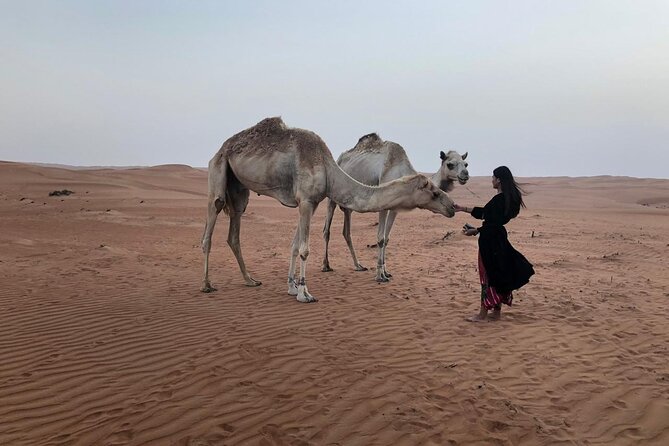 Tour Jawahir 2 Days-1 Night In Wahiba Sands, Oman Tours Package - Key highlights you should know