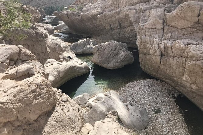 Tour Jawahir 2 Days-1 Night In Wahiba Sands, Oman Tours Package - Wahiba Sands Night: Camp Time, Dune Driving, and Sunset Views