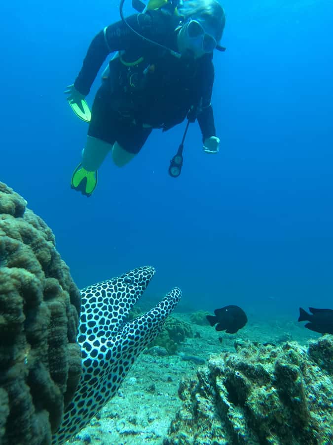 Try scuba Diving Tours To Daymaniyat Islands. - From briefing to skills: what happens before your first underwater session