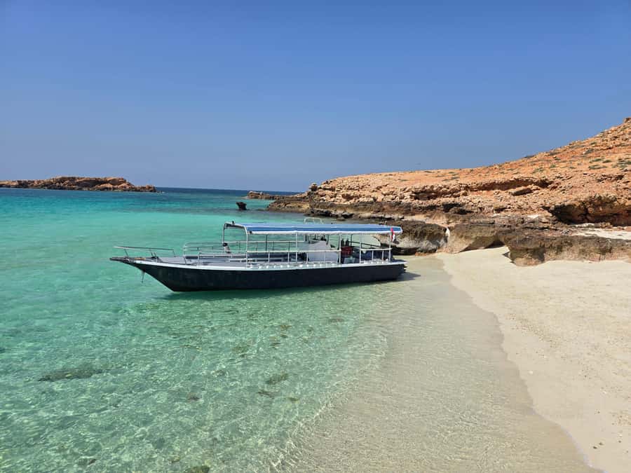 Try scuba Diving Tours To Daymaniyat Islands. - Try option vs certified option: how the plan changes for your level