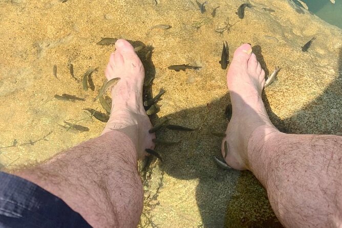 Wadi Bani Khaled & Desert Safari - Muscat, Oman - Getting picked up at 8:00 am, and staying sane for the whole day