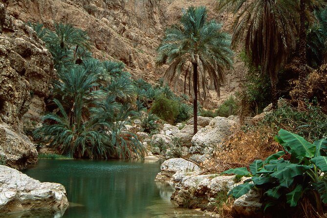 Wadi Shab and Bimmah Sinkhole Group Full Day Tour - Bimmah Sinkhole and Hawiyat Najm Park: stairs down to turquoise calm