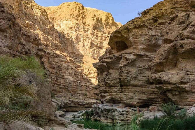 Wadi Shab Coastal Trekking - Who should book this Wadi Shab coastal trek