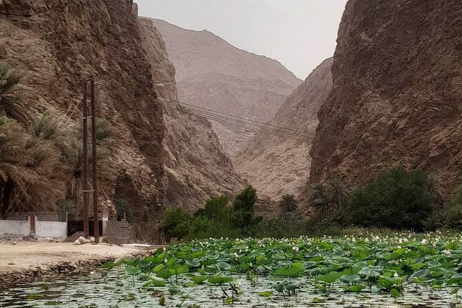 Wadi Shab Expedition - A Full Day Rhythm From Muscat: Timing, Distance, and the Pickup Advantage
