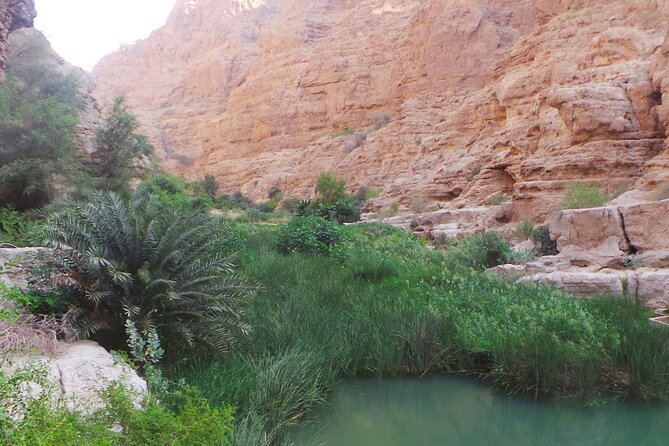 Wadi Shab Expedition - Price and What You Actually Get for $110