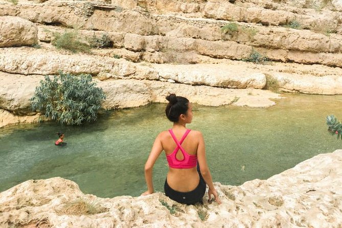 Wadi Shab full day tour (Muscat tours):Oman Shore excursions - Price and value: is $200 per person fair for this day?