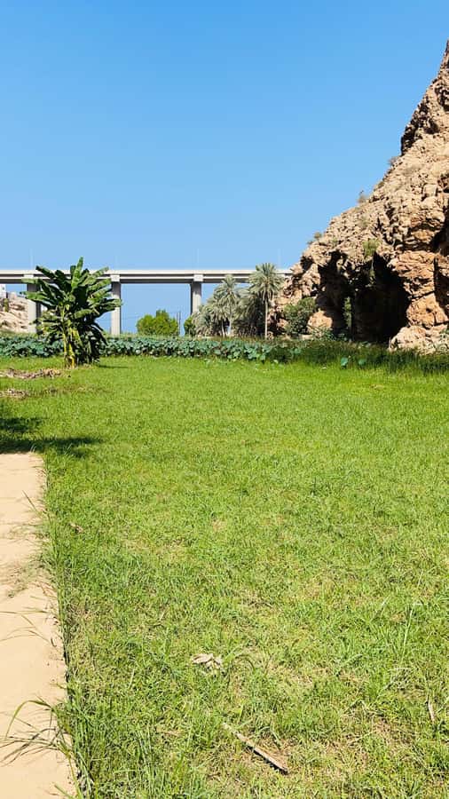 Wadi Shab Parking Meet the Local Guide for Self drivers - Wadi Shab’s cave waterfall: why this day feels different from a quick hike