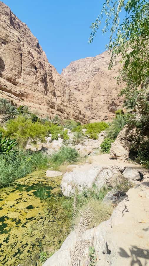 Wadi Shab Parking Meet the Local Guide for Self drivers - Reaching the hidden cave waterfall, and what to do once you’re there