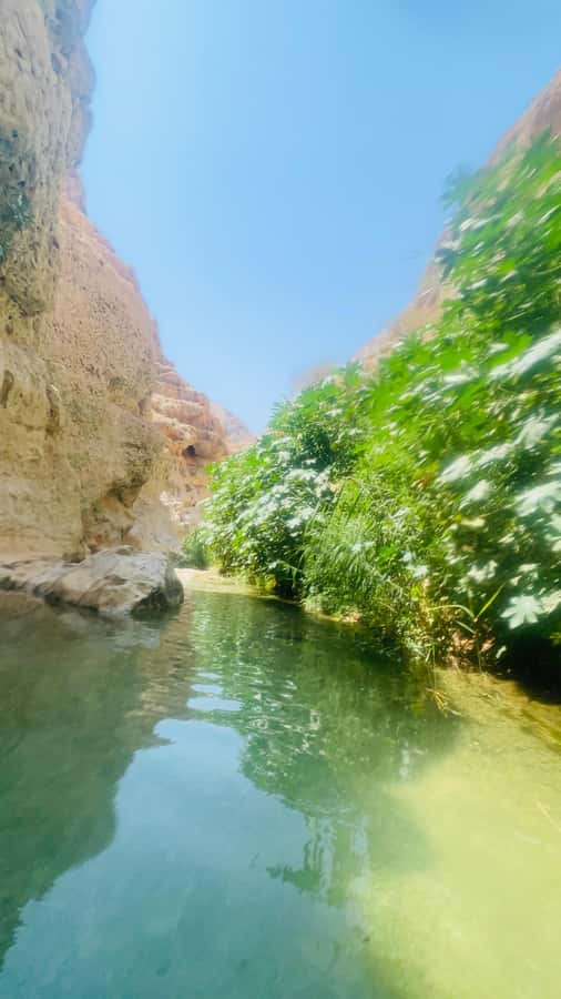 Wadi Shab Parking Meet the Local Guide for Self drivers - Coffee and the best post-hike plan near the wadi