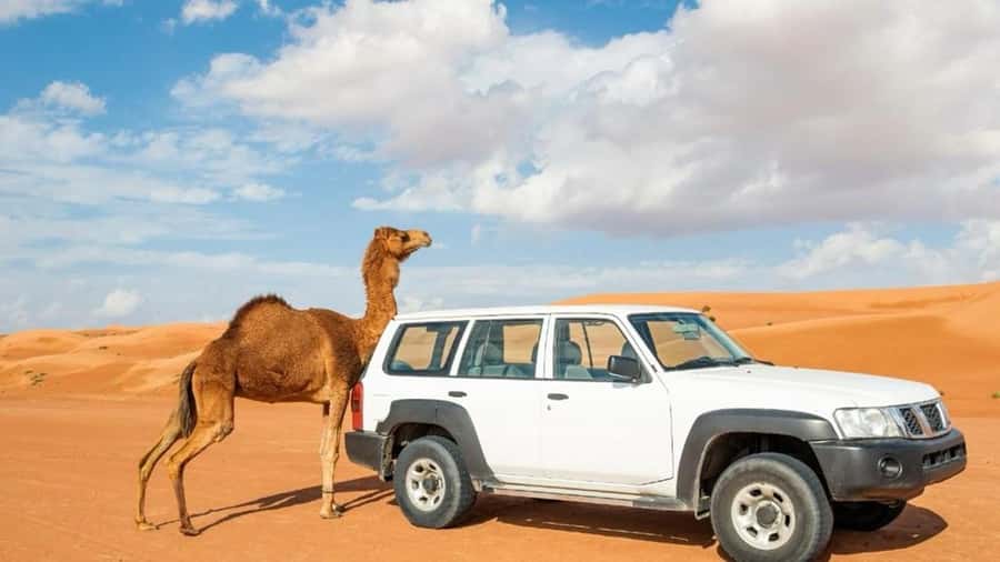 Wahiba Sand and Wadi Bani Khalid Guided Group Tour - Why Wahiba Sands Plus Wadi Bani Khalid Works in One Day