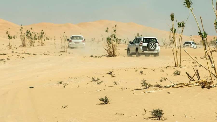 Wahiba Sand and Wadi Bani Khalid Guided Group Tour - Guides Matter: Getting Answers, Not Just Stops
