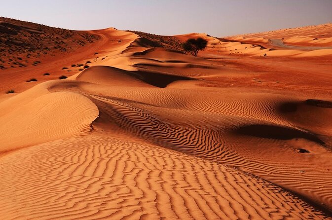Wahiba Sands and Desert Safari from Muscat - Quick hits: what makes this Muscat desert safari work