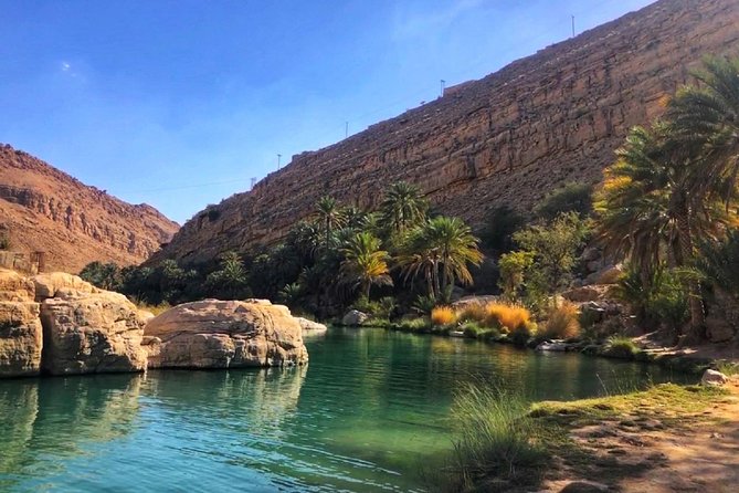 Wahiba Sands and Desert Safari from Muscat - Stop 2: Wadi Bani Khalid pools, swimming time, and an easy walk option